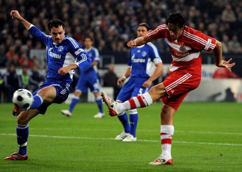 波波维奇的 波波维奇的