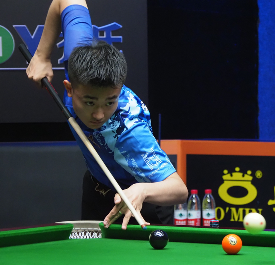 蜜蜂的对战 蜜蜂的对战